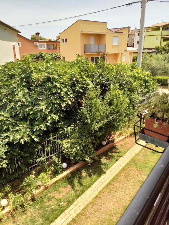 Happy Home Petrovija Exterior foto